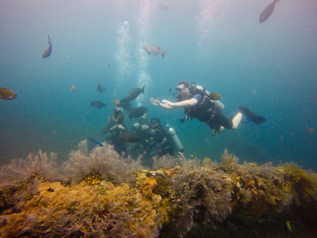 Scuba Diving Bali For a Memorable Experience
