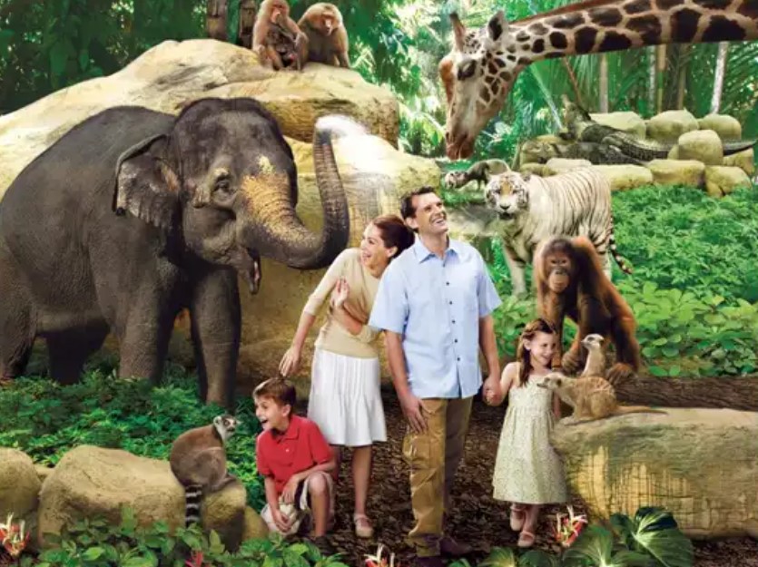 Visiting Singapore Zoo? Here Are The Tips For You!